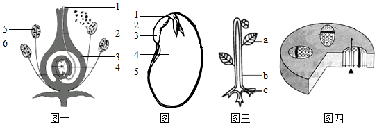 菁優(yōu)網