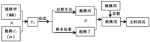 菁優(yōu)網