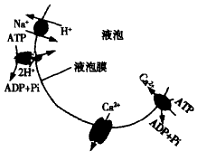 菁優(yōu)網(wǎng)