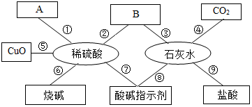 菁優(yōu)網(wǎng)