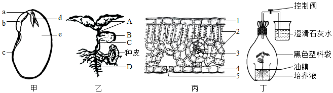 菁優(yōu)網(wǎng)