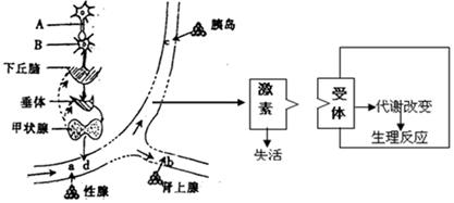 菁優(yōu)網