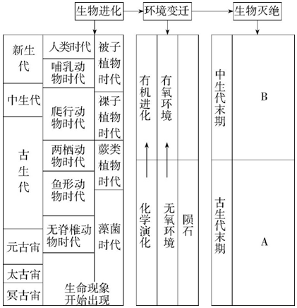 菁優(yōu)網