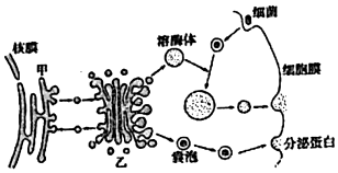 菁優(yōu)網(wǎng)