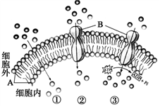 菁優(yōu)網(wǎng)