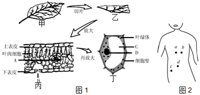 菁優(yōu)網(wǎng)