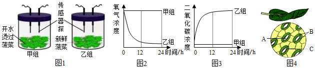 菁優(yōu)網(wǎng)