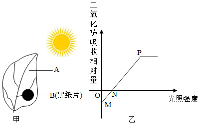 菁優(yōu)網(wǎng)