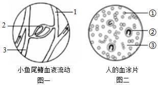 菁優(yōu)網