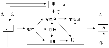 菁優(yōu)網(wǎng)