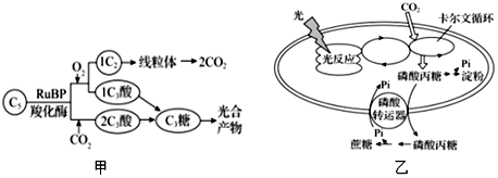 菁優(yōu)網(wǎng)