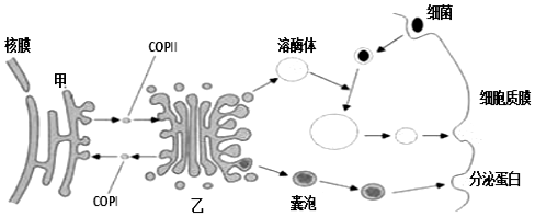 菁優(yōu)網(wǎng)