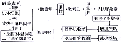 菁優(yōu)網(wǎng)