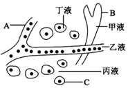 菁優(yōu)網(wǎng)