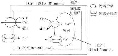 菁優(yōu)網(wǎng)