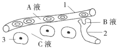 菁優(yōu)網