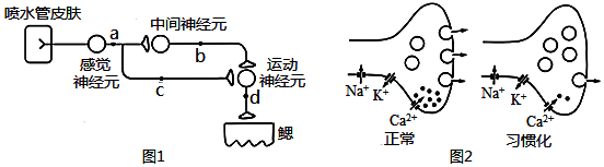 菁優(yōu)網(wǎng)