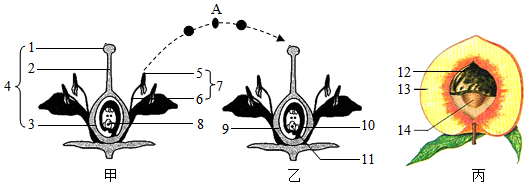 菁優(yōu)網(wǎng)