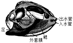 菁優(yōu)網(wǎng)