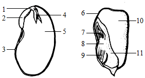 菁優(yōu)網