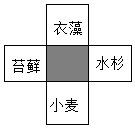 菁優(yōu)網(wǎng)