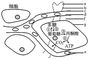 菁優(yōu)網(wǎng)