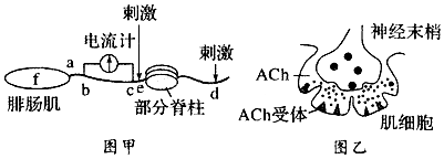 菁優(yōu)網(wǎng)