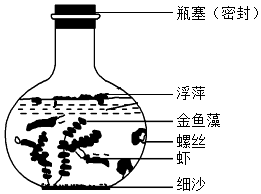 菁優(yōu)網(wǎng)