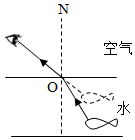 菁優(yōu)網(wǎng)