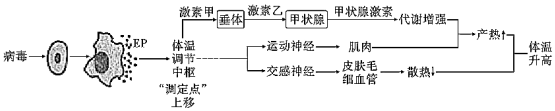 菁優(yōu)網(wǎng)