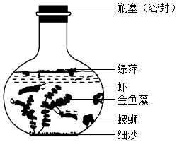 菁優(yōu)網(wǎng)