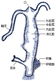 菁優(yōu)網