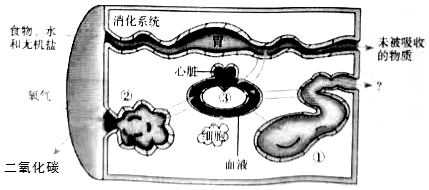 菁優(yōu)網(wǎng)