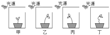 菁優(yōu)網(wǎng)