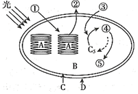 菁優(yōu)網(wǎng)