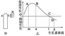 菁優(yōu)網(wǎng)