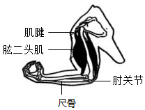 菁優(yōu)網