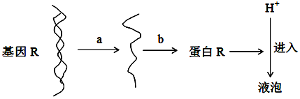 菁優(yōu)網(wǎng)