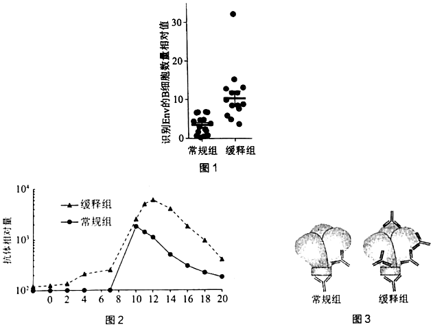 菁優(yōu)網