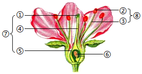 菁優(yōu)網