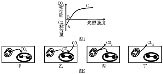 菁優(yōu)網