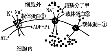 菁優(yōu)網(wǎng)