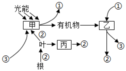 菁優(yōu)網(wǎng)