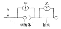 菁優(yōu)網(wǎng)