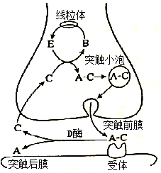 菁優(yōu)網