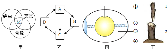 菁優(yōu)網