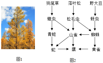 菁優(yōu)網(wǎng)