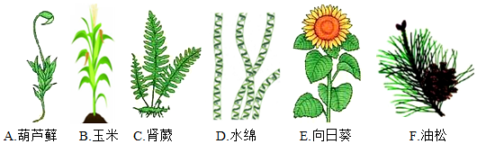 菁優(yōu)網