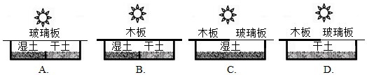 菁優(yōu)網