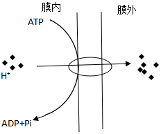 菁優(yōu)網(wǎng)